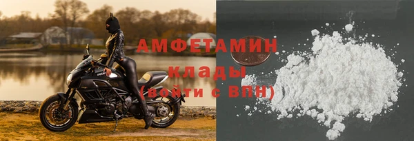 прущие грибы Липки