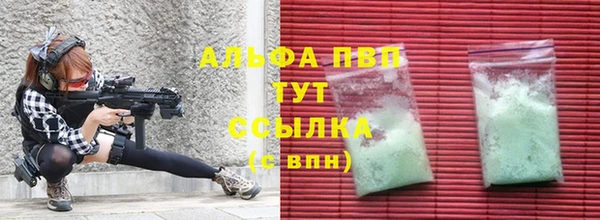 прущие грибы Липки