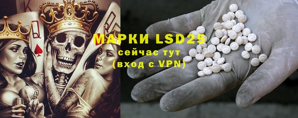 прущие грибы Липки