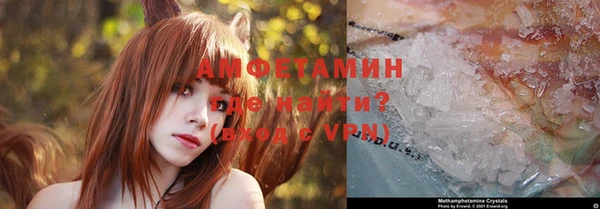 прущие грибы Липки