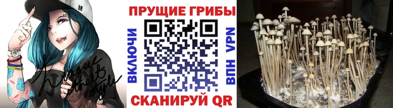 Галлюциногенные грибы MAGIC MUSHROOMS  Трёхгорный 